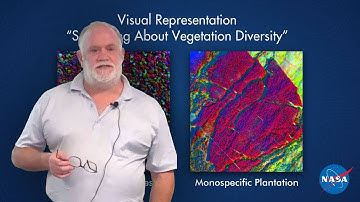 Big Data, Open Data and Biodiversity: A Presentation