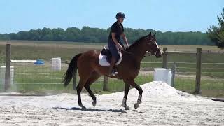 Duke of Dooly ride 5 16 26