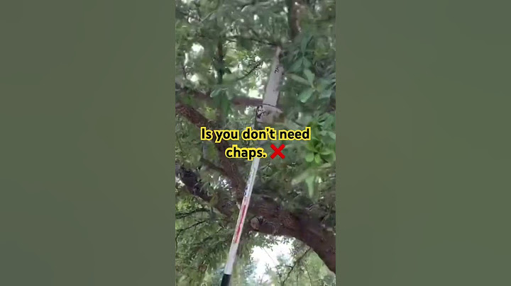 3 Benefits of Using a Pole Saw When Trimming Trees