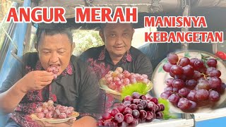 ANGGUR MERAH MANISNYA KEBANGETAN