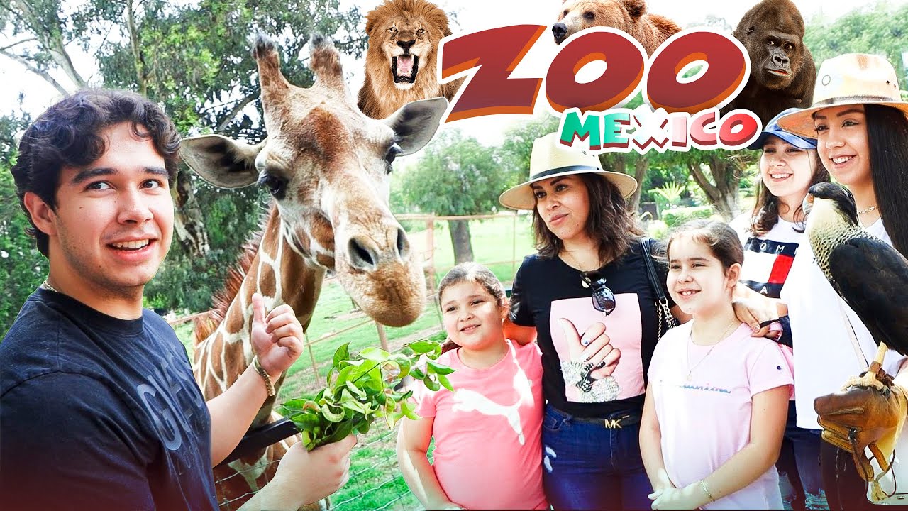 THIS IS HOW THEY TREAT ANIMALS IN A MEXICAN ZOO…🇲🇽 YouTube