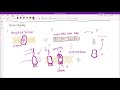 Structure of Gram-positive and Gram-negative Bacteria | Microbiology