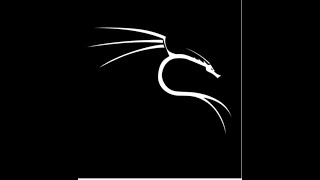Running Kali lunix online in phone. screenshot 1