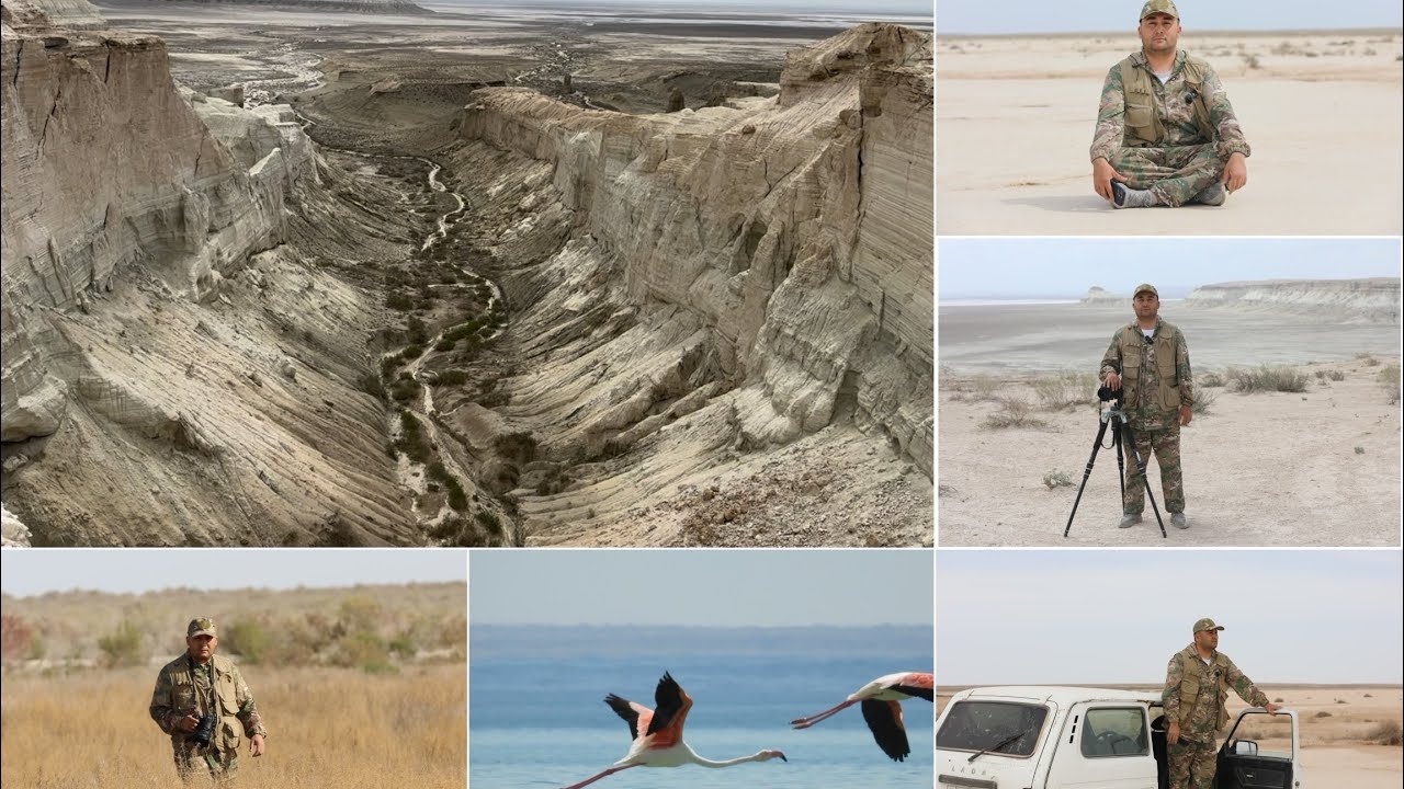 Плато Устюрт, Сарыкамышское озеро, Кулантакыр Капланкыр Асеке аудан #Каракалпакстан #Узбекистан