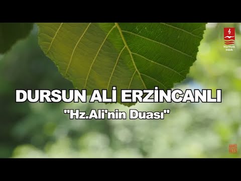 DURSUN ALİ ERZİNCANLI  \