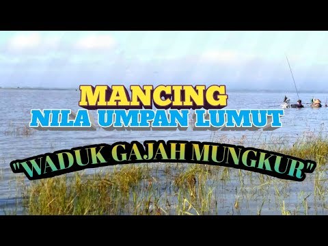 Mancing Di Waduk Gajah Mungkur Wonogiri Youtube