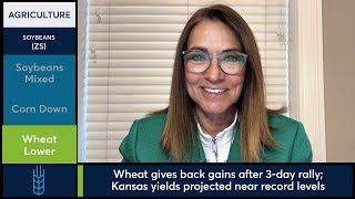 Soybeans steady, Corn slips, Wheat hit by Kansas yield forecast. 5/16/25