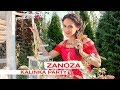 Zanoza - Kalinka Party (Oficjalny teledysk)