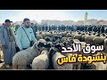 مباشرة من سوق الأحد بنسودة بفاس أثمنة حولي عيد الأضحى 2026 الخير موجود و الأثمنة صادمة