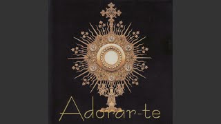 Vídeo de EM ADORAÇÃO (Comunidade Católica Shalom)