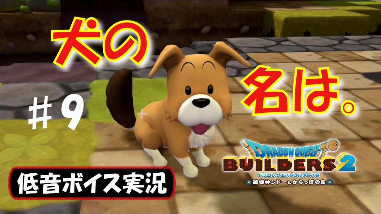 ドラクエビルダーズ2 突如迷い込んだ犬は種集めの救世主 ソフィとリズ姉妹との関係は Dqb2 9 低音ボイス実況 Youtube