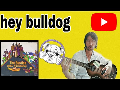 The Beatles/Hey bulldog/cover/#beatles