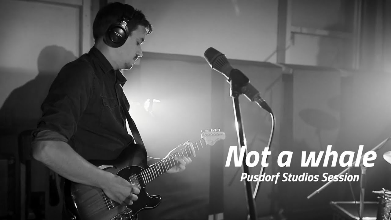 Not a whale - Hollow (Pusdorf Studios Session)