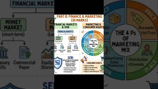 Master Class 11 & 12 Business Studies in 60 seconds! Here is your roadmap! 🚀Class 11 vs Class 12