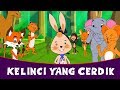 Kelinci Yang Cerdik - Cerita Untuk Anak-Anak | Animasi Kartun | Dongeng Bahasa Indonesia