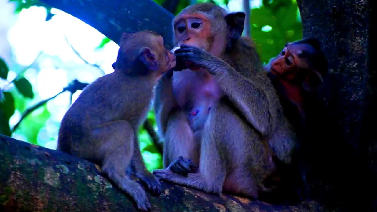 Why Does My Baby Want To Eat Every 30 Minutes