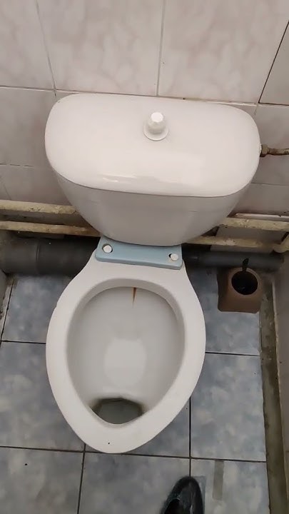 Отсутствует ободок и туалетная бумага в травмпункте на Бажова в ...