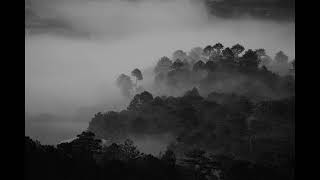 Eizzen Echo - Lost in the Grey