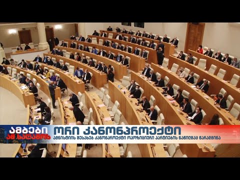 ამნისტიის ორი კანონპროექტი