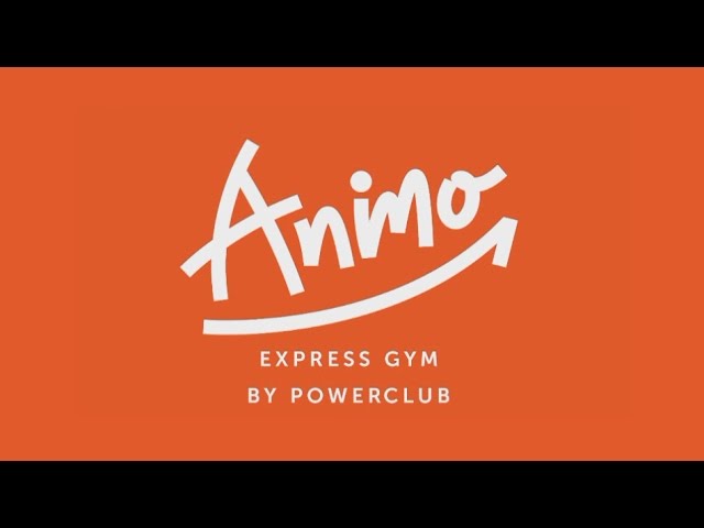 Gym Animo - Gioco Motorio Per Bambini 3-6 Anni Con 70 Prove Animali E Torre In Legno - 2 Livelli Di Difficoltà - Made In France