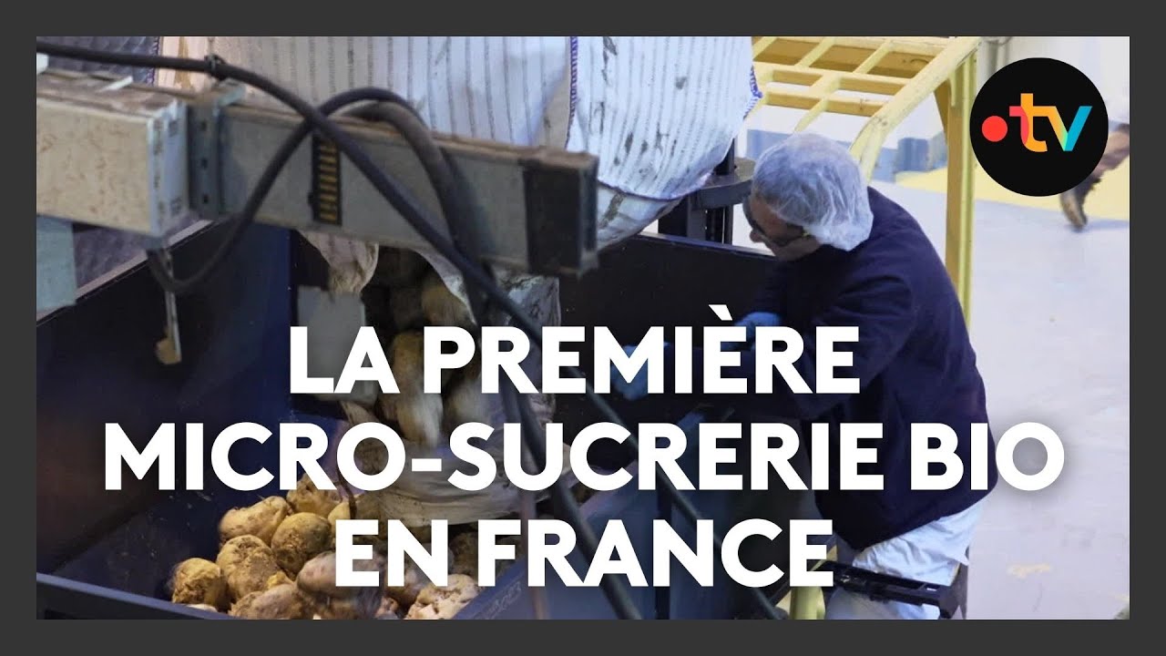 Des agriculteurs produisent du sucre de betterave bio et brut dans une usine bas carbone