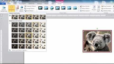 Microsoft Office 2010 - Picture Tools