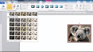 Microsoft Office 2010 - Picture Tools