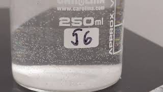 Brine Shrimp Hatch -- A Qualitative Observation in Varying Salt Concentrations