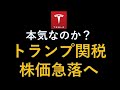 テスラ株急落へ　トランプ関税の衝撃　本気なのか？影響を分析