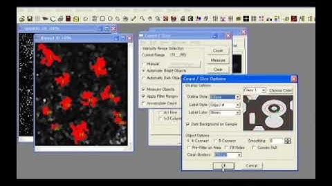 Image Pro Plus 7.0 Calculating