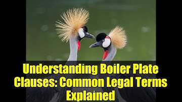 Understanding Boiler Plate Clauses: Common Legal Terms Explained