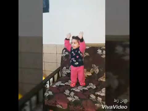 غروكي عيني غروكي 