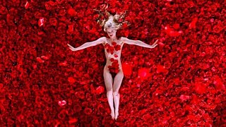 American Beauty (1999-IMDb 8.3/10.0)