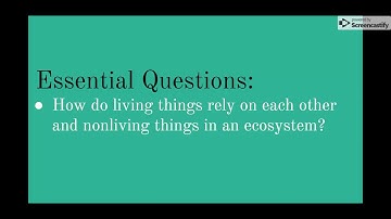 Ecosystems - Google Slides