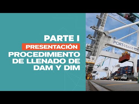 PROCEDIMIENTO DE LLENADO DE DAM Y DIM | PARTE 1