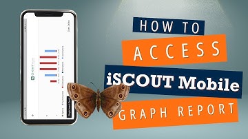 How to Access iSCOUT Mobile Graph Reports | Step-by-Step Guide
