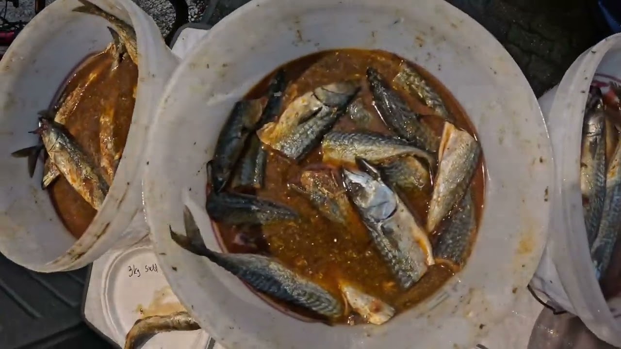 Salting makrell til hummerfiske Del 2. Åpne opp og se foreløpig resultat