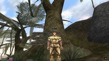Morrowind: Traveling to Balmora (TES3 Main Quest Walkthrough, Episode 1)