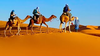 Sahara Desert at Merzouga, Morocco. 4K
A different culture in a very different landscape than much of Morocco. Music, drumming, even dancing and camels to ride. The shifting sands of the desert are mystifying and beautiful. Our G Adventure gang had lots of fun together.
#Morocco #Saharadesert #desertmusic #camelride #gadventures Sahara Desert at Merzouga, Morocco. 4K