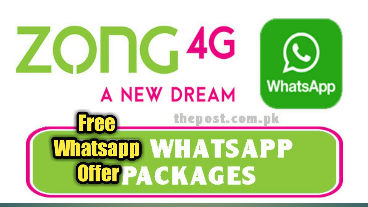 Best Zong Free Whatsapp Offer Must Watch YouTube best-zong-free-whatsapp-offer-must-watch-youtube