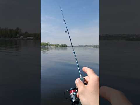 Спиннинг для Мормышинга