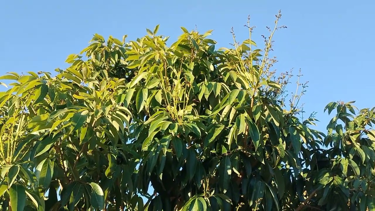  theo đuổi đến cùng hay chấp nhận từ bỏ. 