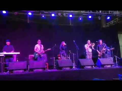 Dandimites - these boots are made for walking