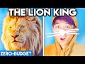 THE LION KING WITH ZERO BUDGET! (DISNEY LANKYBOX MOVIE PARODY)