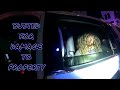 Busted for Property Damage - Sarasota, Florida - November 7, 2022