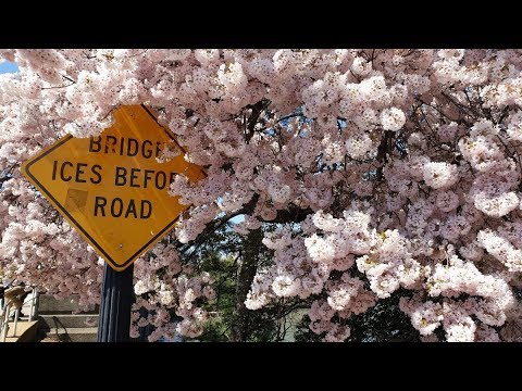 Vidéo: Célébrez le Festival Latino à Washington, DC