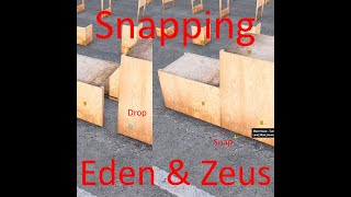 Snapping for Eden and Zeus
