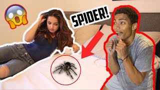 Giant Spider Prank On Bestfriend