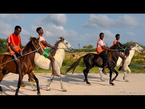 Tartanka Fardaha Soomaaliya FC GALAYR