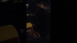 Rakı Masası Üzerine En Güzel Söylenen Şarkı Tayyip